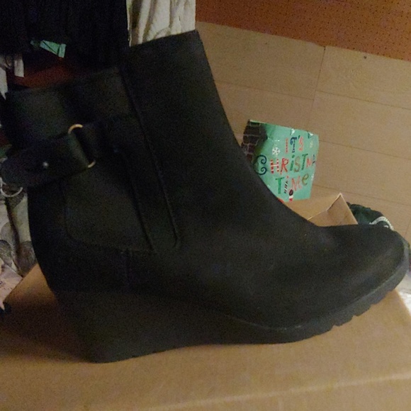 bots - Picture 2 of 5